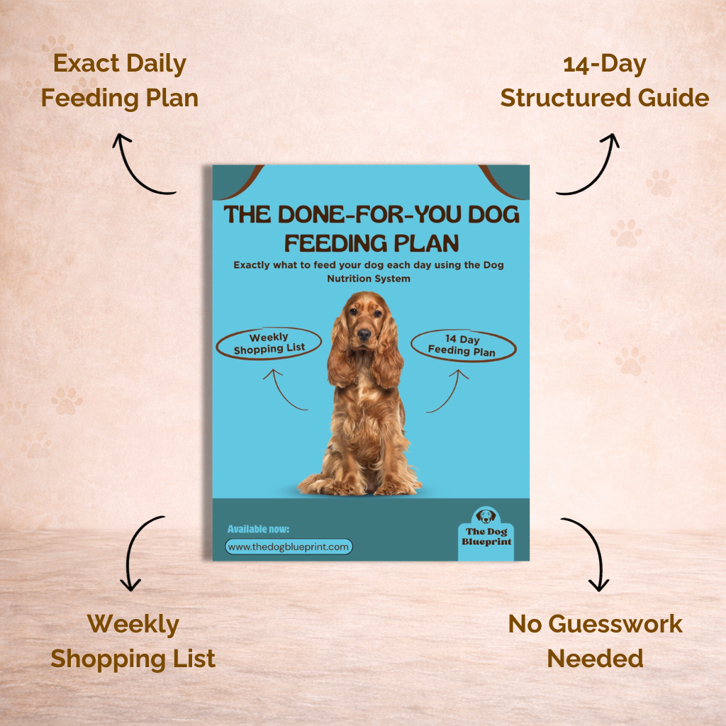 Done-for-you Feeding Plan & Longevity Blueprint (BUNDLE)