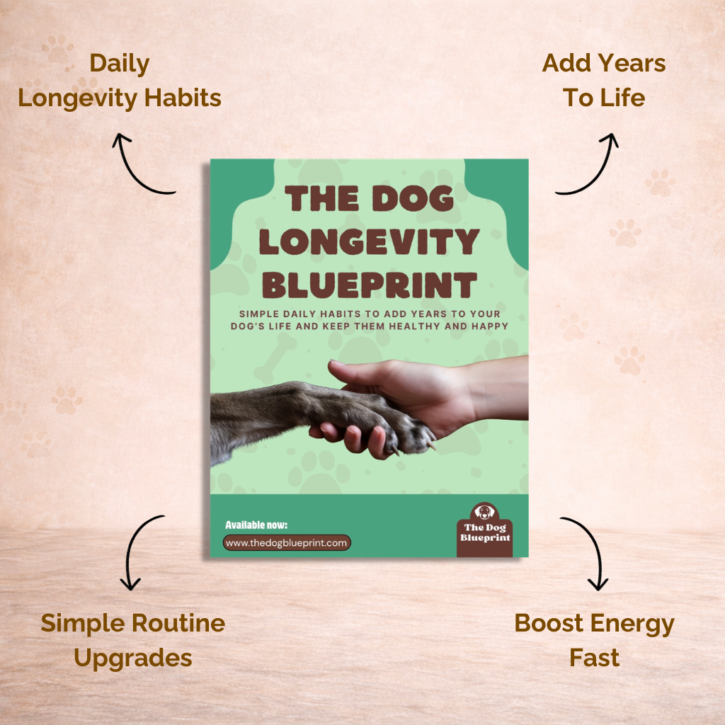 Done-for-you Feeding Plan & Longevity Blueprint (BUNDLE)