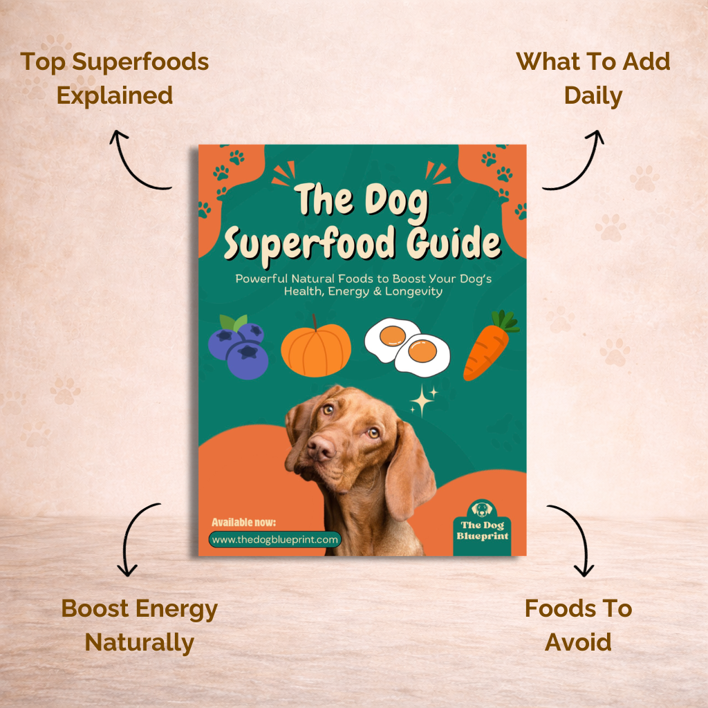The Dog Nutrition System