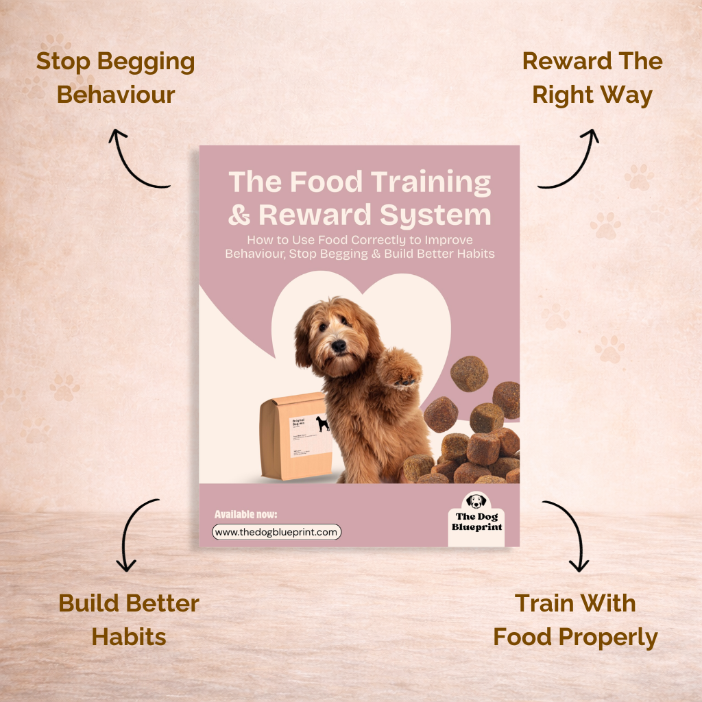 The Ultimate Dog Nutrition System  (MOST POPULAR 🔥) (COMPLETE SYSTEM)