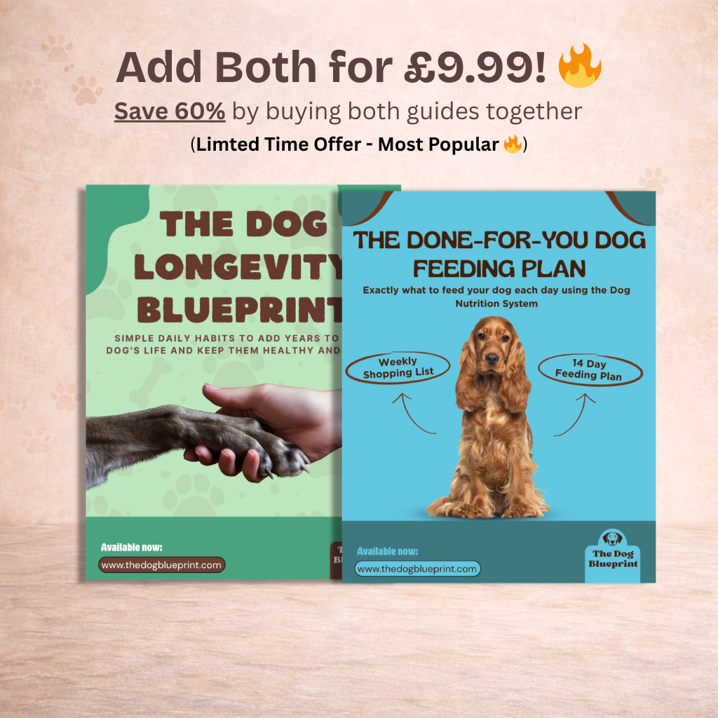 Done-for-you Feeding Plan & Longevity Blueprint (BUNDLE)